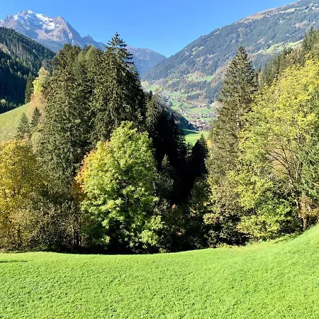 Zeit - Alpine Garden