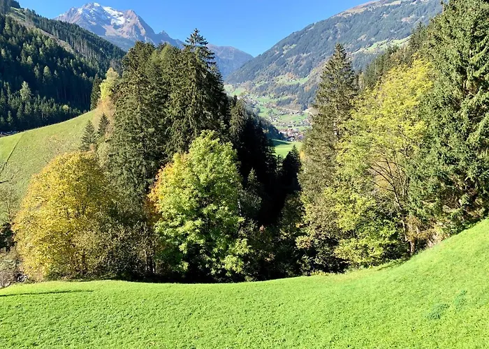 Zeit - Alpine Garden